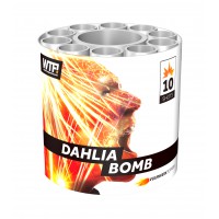 dahlia-bomb - 3423